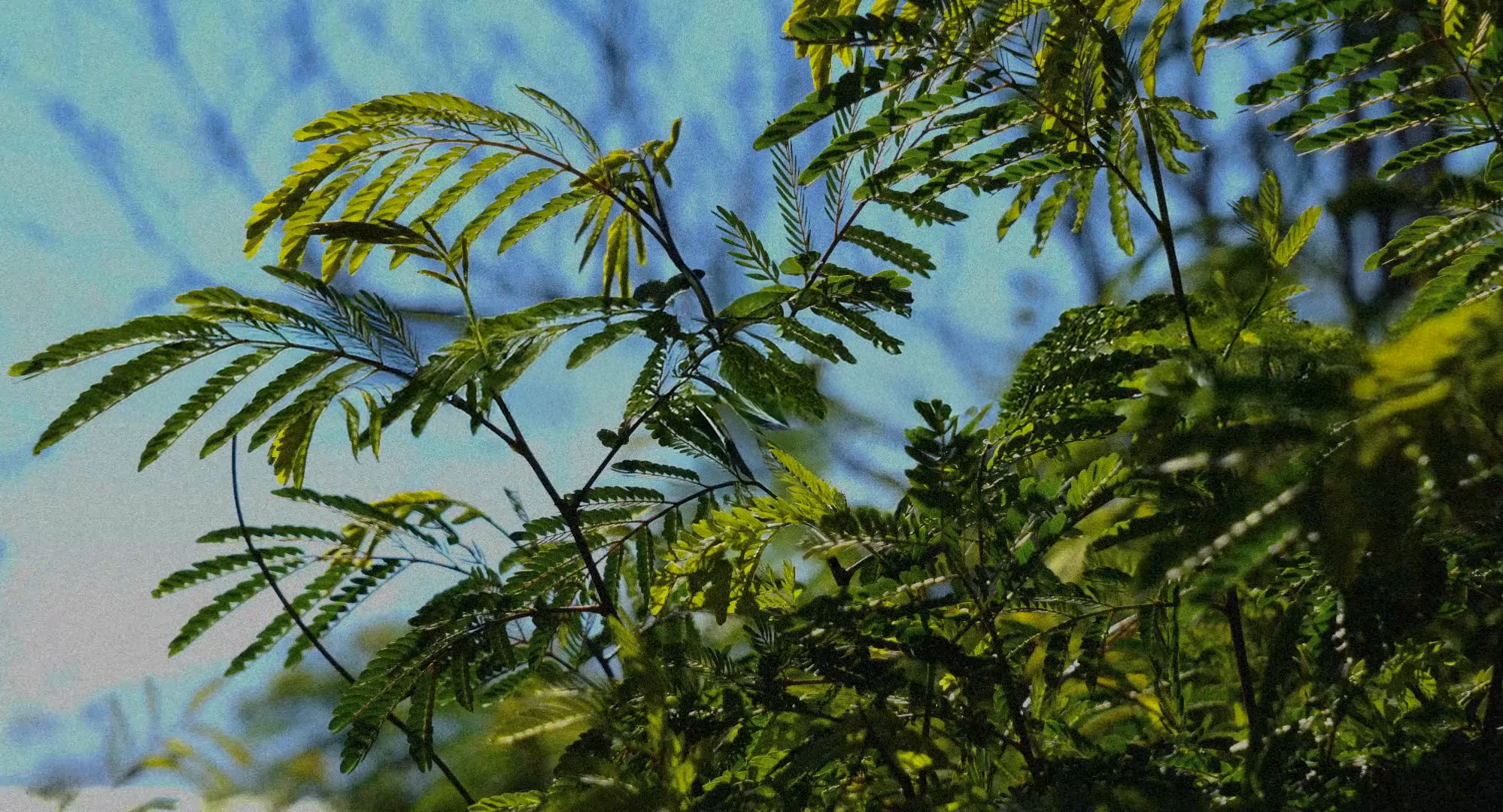 OFFRE AUTOMNE – HIVER 2025